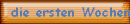 die ersten Wochen