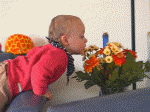 Blumen schnuppern