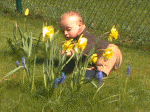 In den Blumen