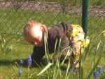 In den Blumen 02