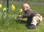 In den Blumen 03