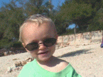 Joe Cool