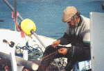 PortoColom Fischer