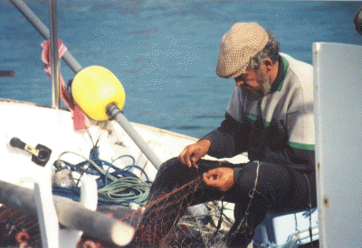 PortoColom Fischer