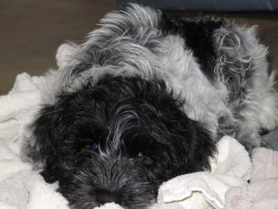kuscheln