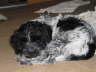 kuscheln 2
